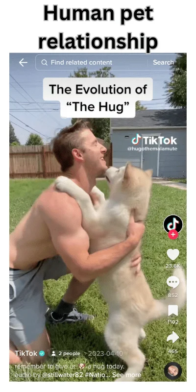 Tik Tok APK live